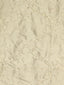 Scalamandre Honeysuckle Embroidery Ivory Fabric