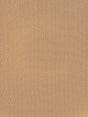 Scalamandre North Downs Spiced Peach Fabric
