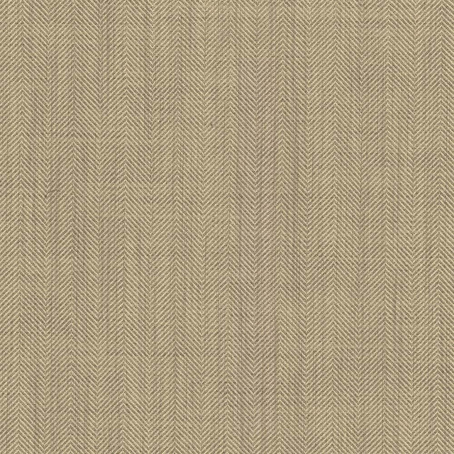 Kasmir Eternal Hummus Fabric