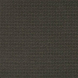 Kasmir Fantina Charcoal Fabric