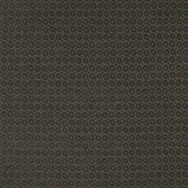 Kasmir Fantina Charcoal Fabric