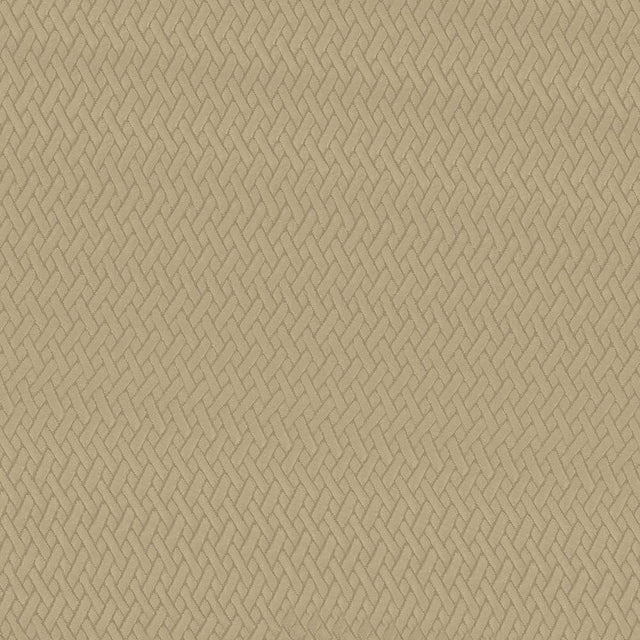 Kasmir Fidelio Camel Fabric