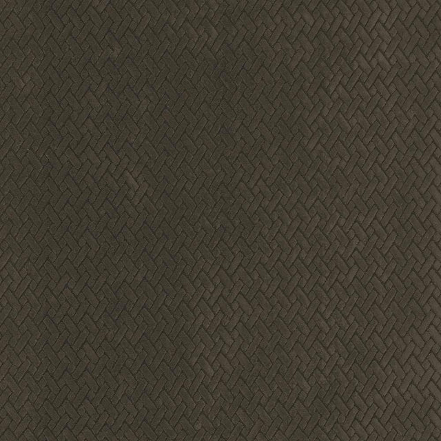 Kasmir Fidelio Chocolate Fabric