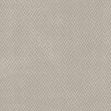 Kasmir Fidelio Mushroom Fabric