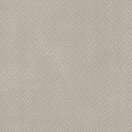 Kasmir Fidelio Mushroom Fabric