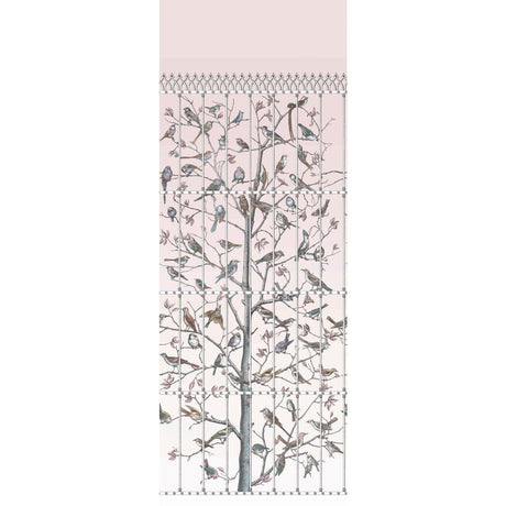 Cole & Son Uccelli Ballet Slipper Wallpaper
