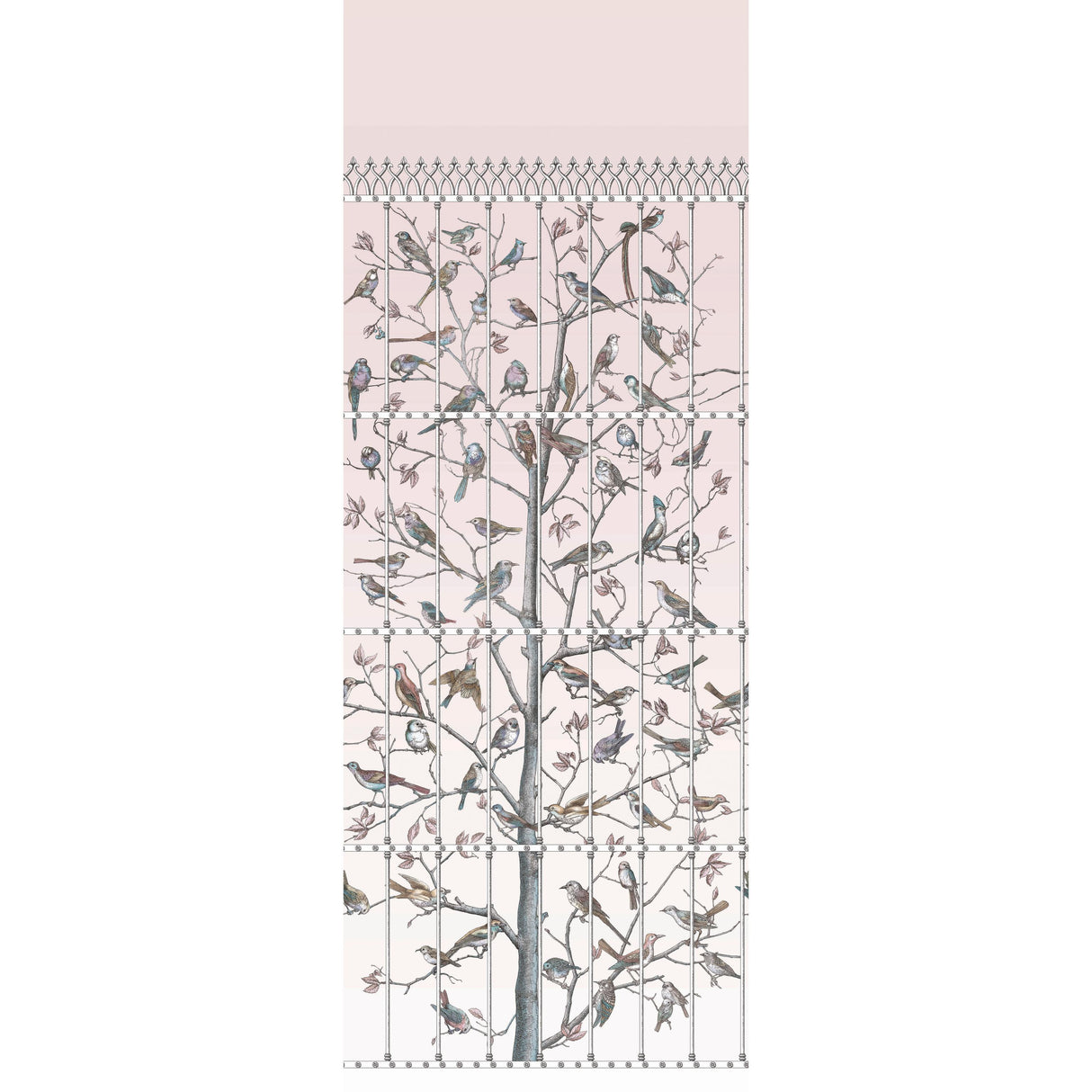 Cole & Son UCCELLI BALLET SLIPPER Wallpaper