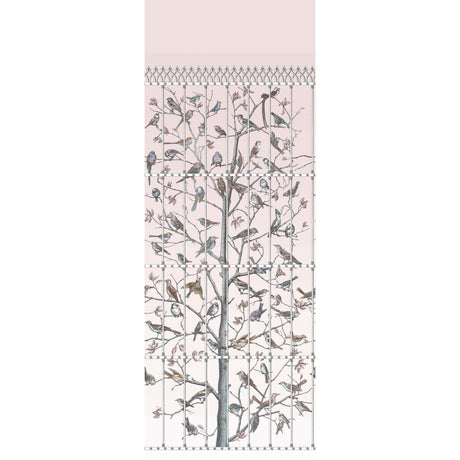 Cole & Son UCCELLI BALLET SLIPPER Wallpaper