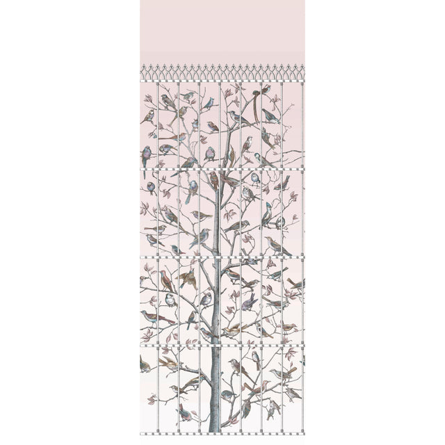 Cole & Son UCCELLI BALLET SLIPPER Wallpaper