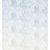 Cole & Son NUVOLE AL TRAMONTO DAWN Wallpaper