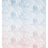 Cole & Son NUVOLE AL TRAMONTO DUSK/PINK Wallpaper