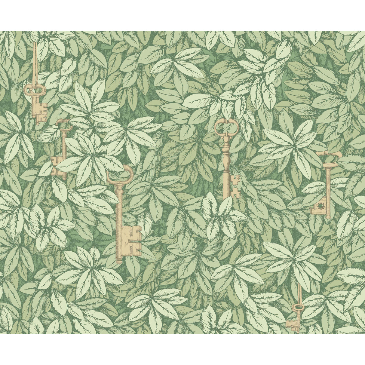 Cole & Son CHIAVI SEGRETE OLIVE Wallpaper
