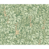Cole & Son CHIAVI SEGRETE OLIVE Wallpaper