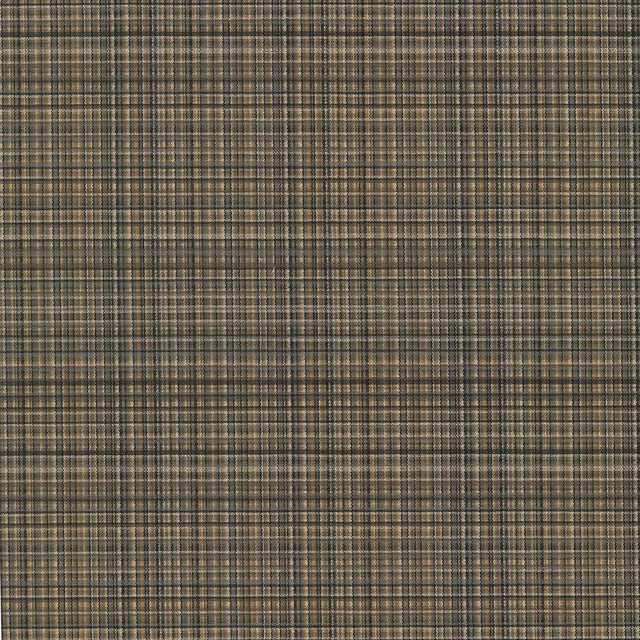 Kasmir Formosa Truffle Fabric