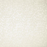 Kasmir Fragments White Fabric