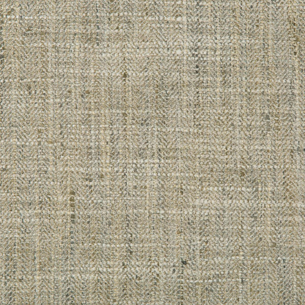 Kravet KRAVET SMART 34088-1116 Fabric