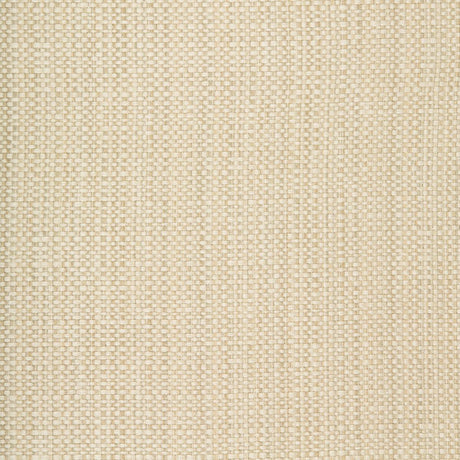 Kravet 34683 116 Fabric
