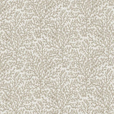 Kasmir Freshwater Fog Fabric