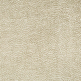 Kravet 34971 16 Fabric