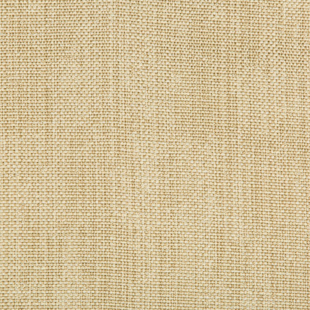 Kravet 35135 4 Fabric