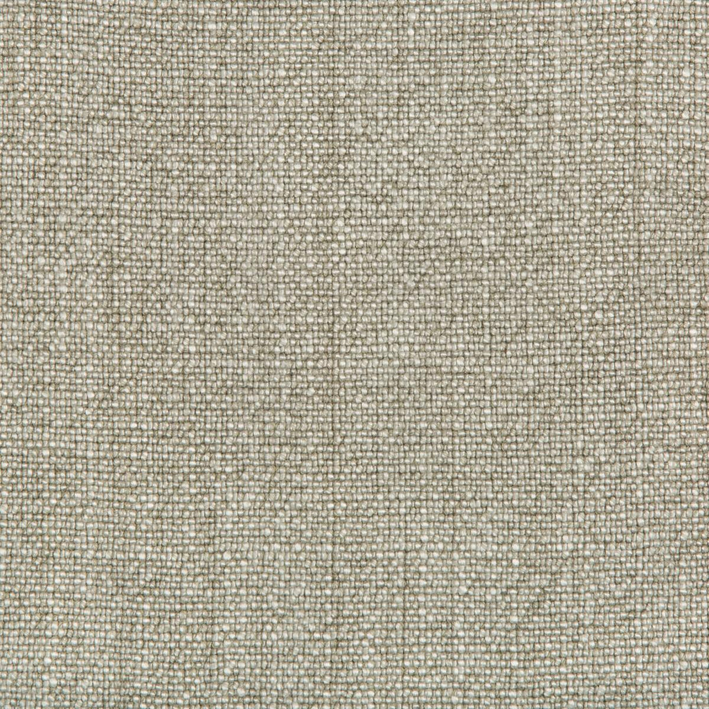 Kravet KRAVET BASICS 35189-1013 Fabric