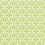 Kasmir Fuerte Spring Fabric