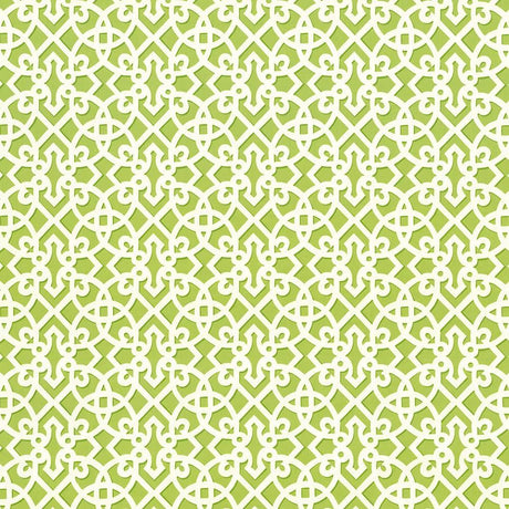 Kasmir Fuerte Spring Fabric