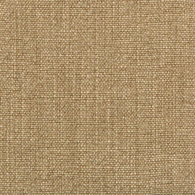 Kravet BASICS 35189 166 Fabric