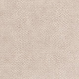 Lizzo CESTO 06 Wallpaper