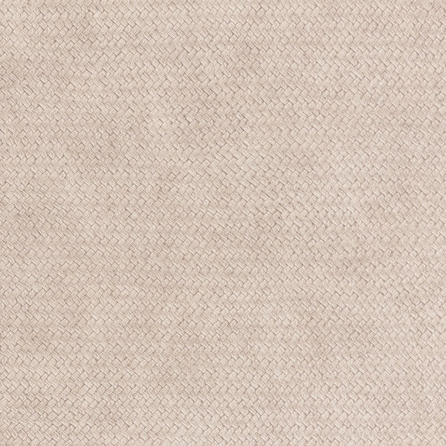 Lizzo CESTO 06 Wallpaper