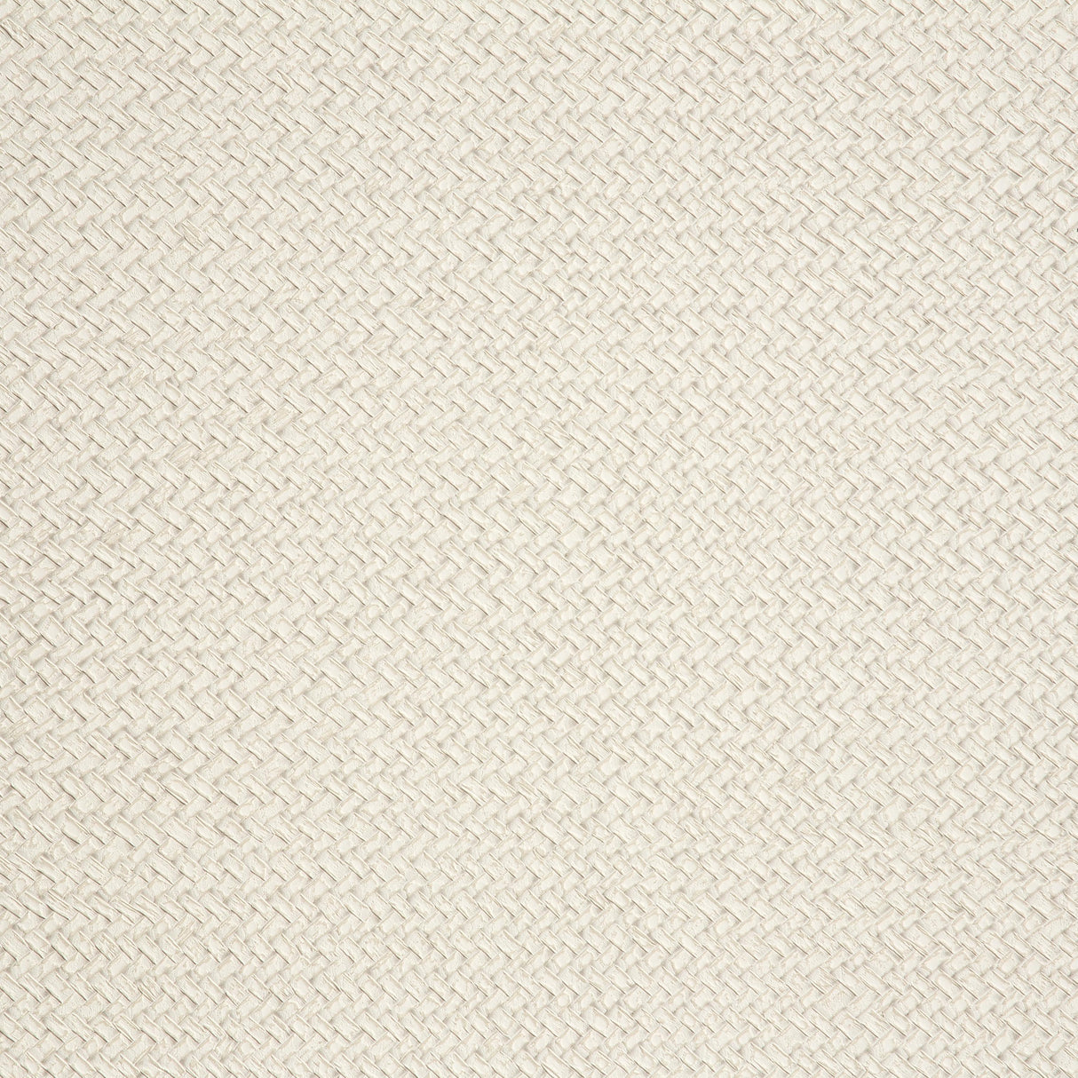 Lizzo CESTO 07 Wallpaper