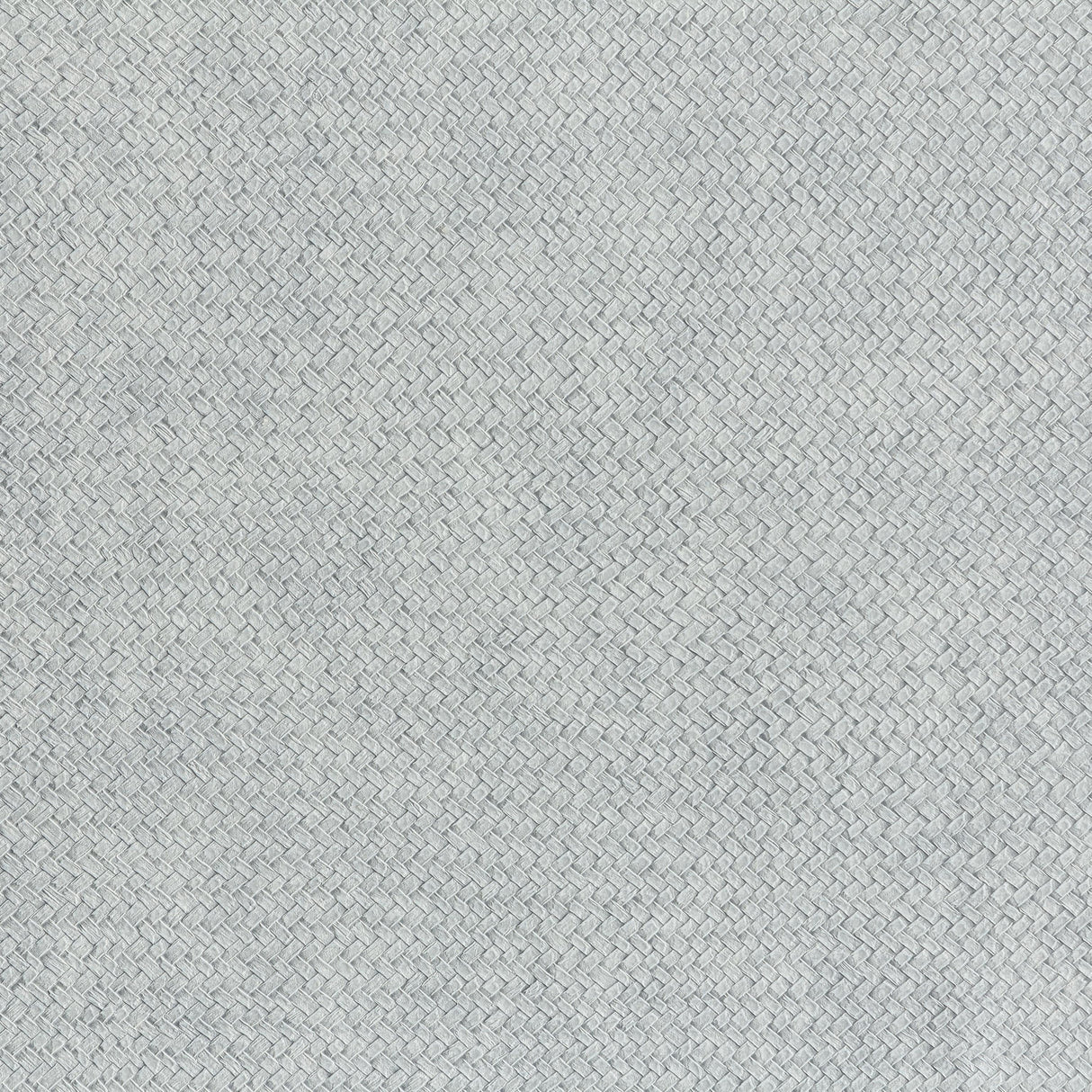 Lizzo CESTO 09 Wallpaper