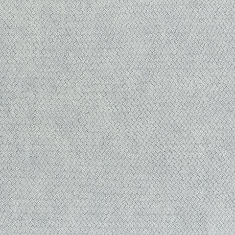 Lizzo CESTO 09 Wallpaper