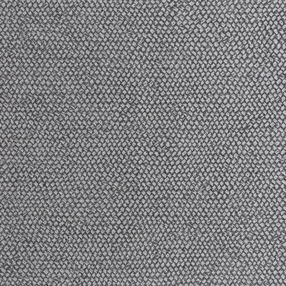 Lizzo CESTO 19 Wallpaper