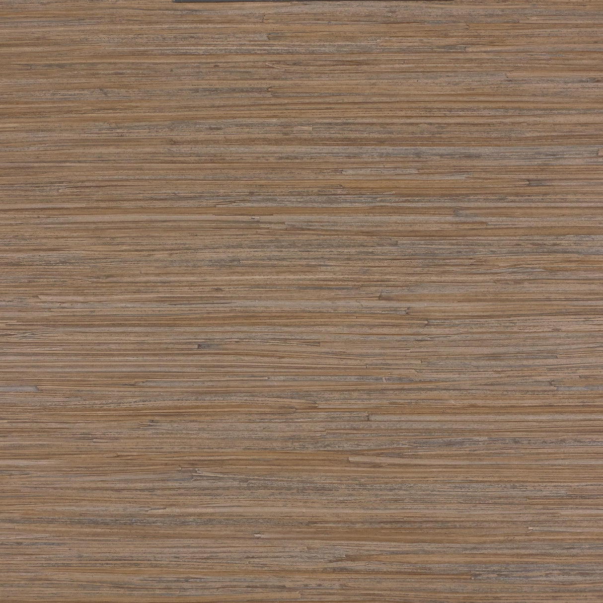 Lizzo ENEA 01 Wallpaper