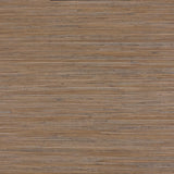 Lizzo ENEA 01 Wallpaper