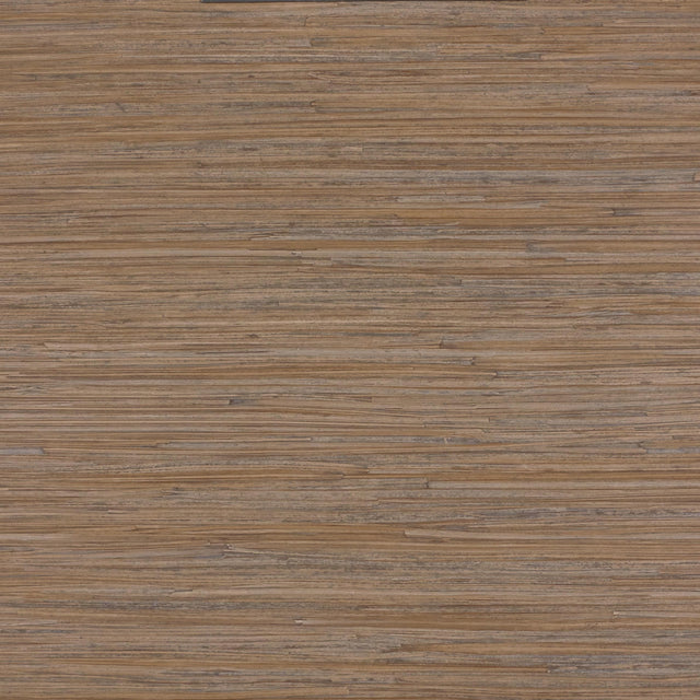 Lizzo ENEA 01 Wallpaper