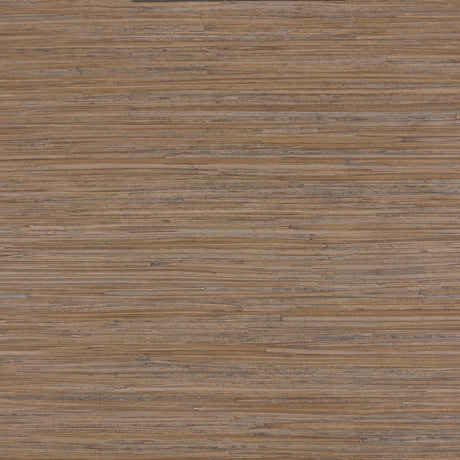 Lizzo ENEA 01 Wallpaper