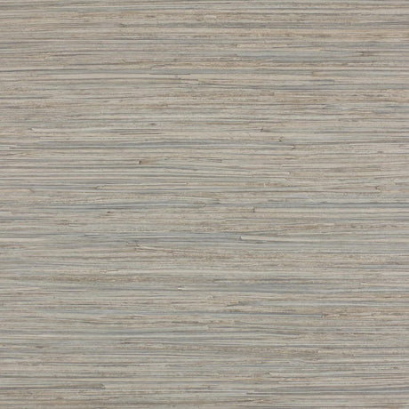 Lizzo ENEA 04 Wallpaper