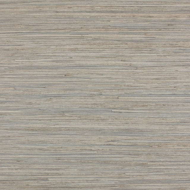 Lizzo ENEA 04 Wallpaper