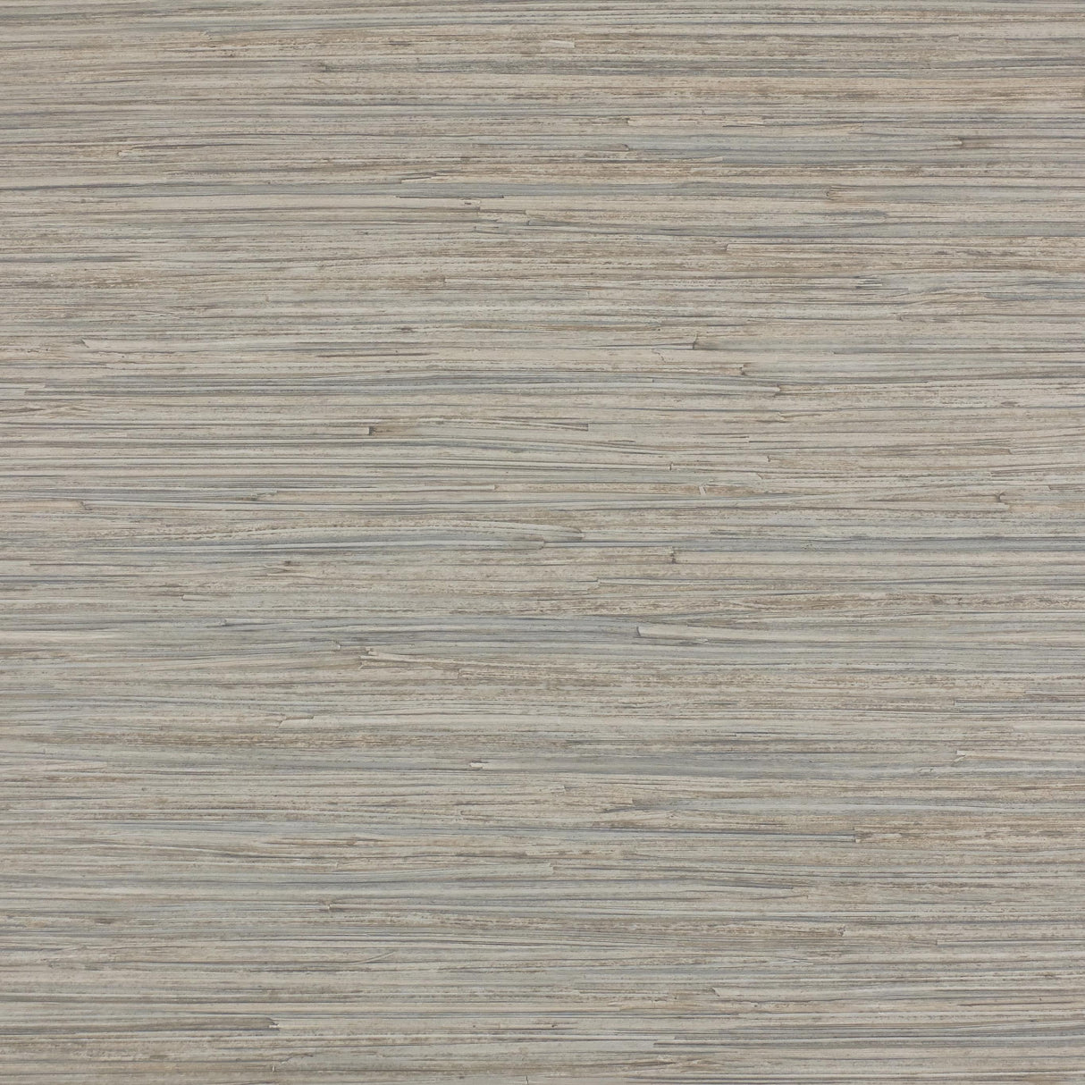 Lizzo ENEA 04 Wallpaper