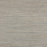 Lizzo ENEA 04 Wallpaper