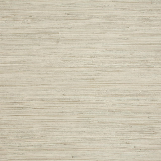 Lizzo ENEA 06 Wallpaper