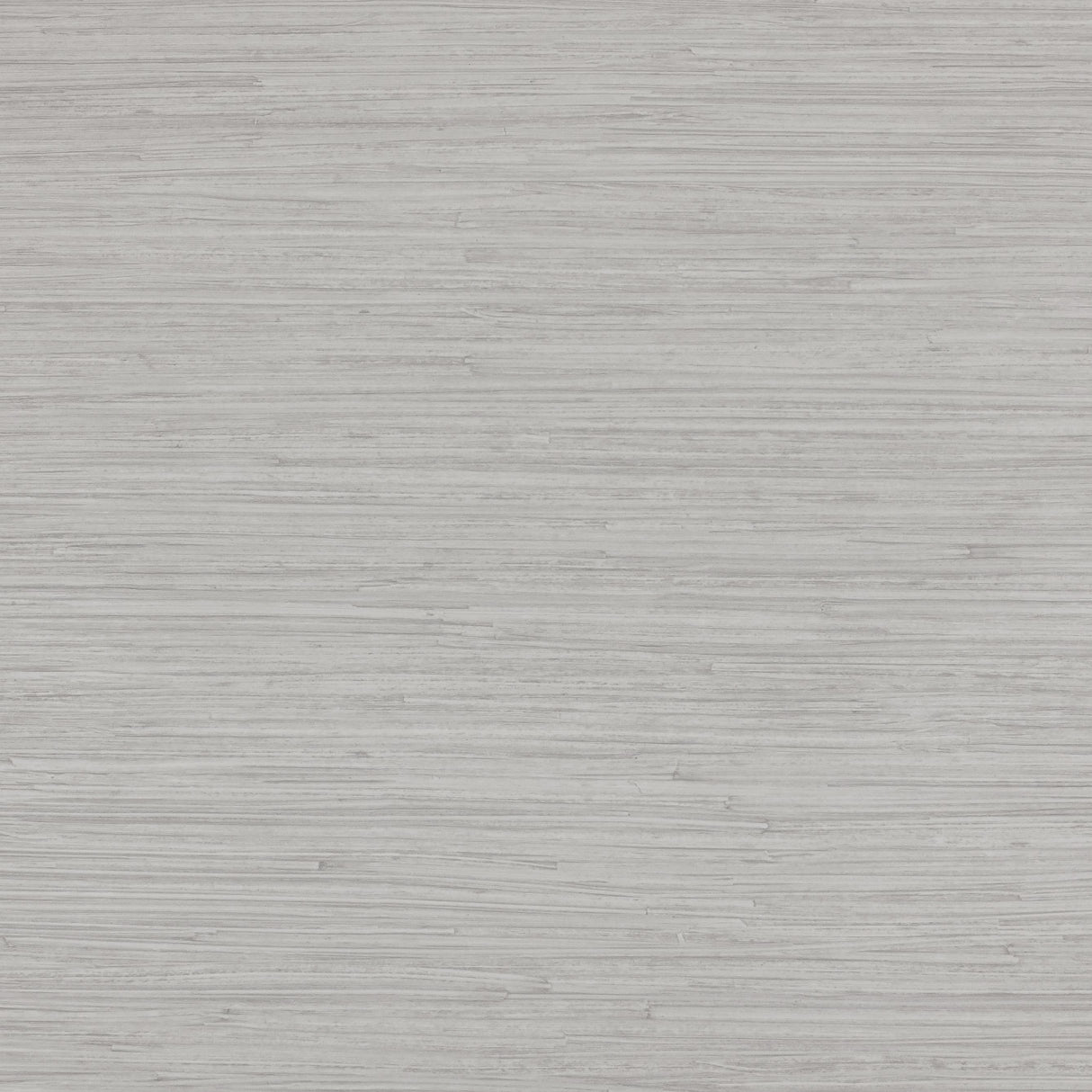 Lizzo ENEA 07 Wallpaper