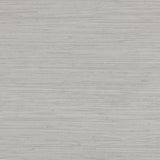 Lizzo ENEA 07 Wallpaper