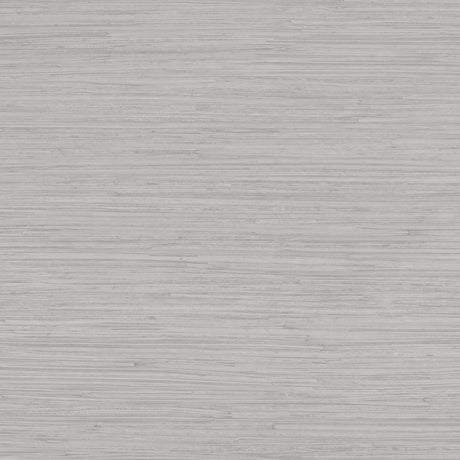 Lizzo ENEA 07 Wallpaper