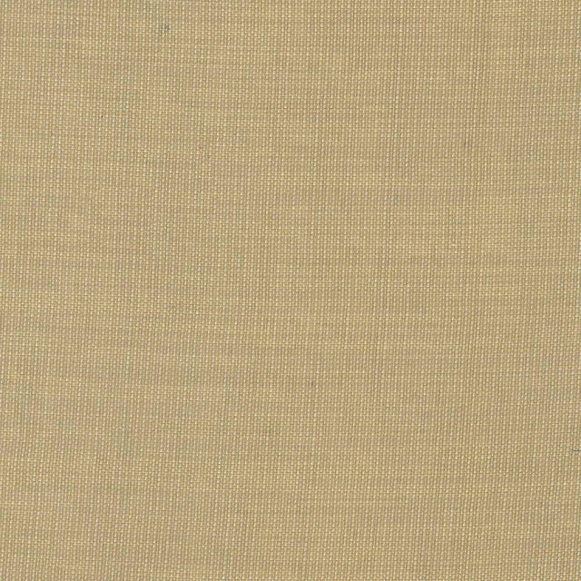 Kasmir Gauzier Linen Fabric