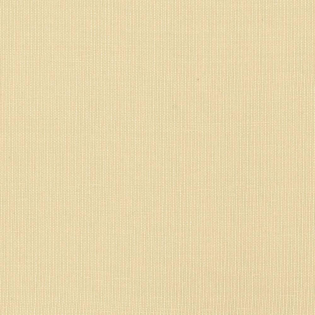 Kasmir Gauzier Natural Fabric