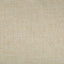 Kravet DEJO RIVER ROCK Upholstery Fabric