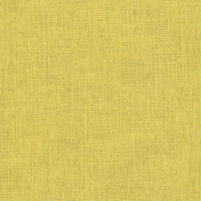 Kasmir Gobo Citrine Fabric